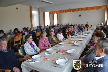 Srečanje Stročja vas 1